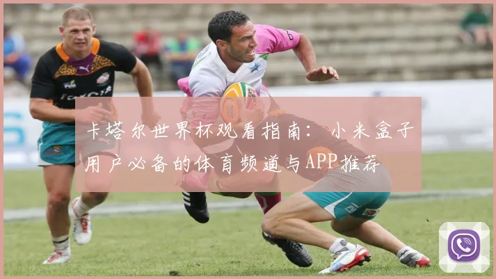 卡塔尔世界杯观看指南：小米盒子用户必备的体育频道与APP推荐