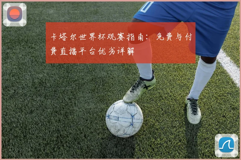 卡塔尔世界杯观赛指南：免费与付费直播平台优劣详解